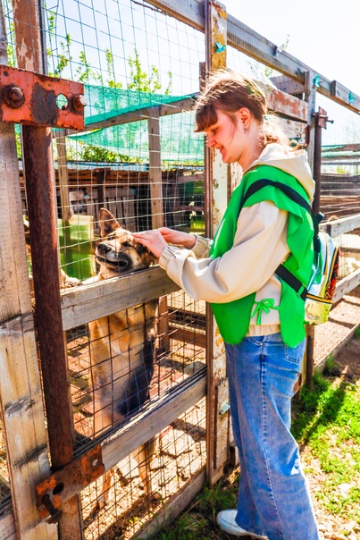 Волонтёры города Балаково помогли животным