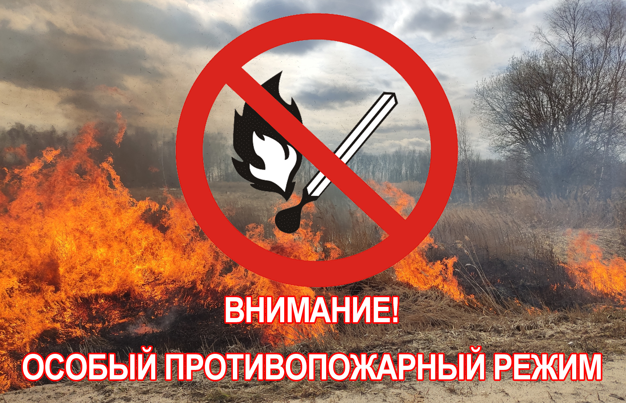 На территории Саратовской области с 13 мая 2024 года и до стабилизации обстановки устанавливается особый противопожарный режим